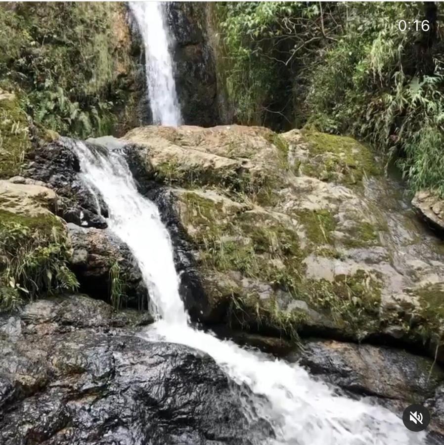 Castillo De Cascadas Finca Hotel Salamina エクステリア 写真