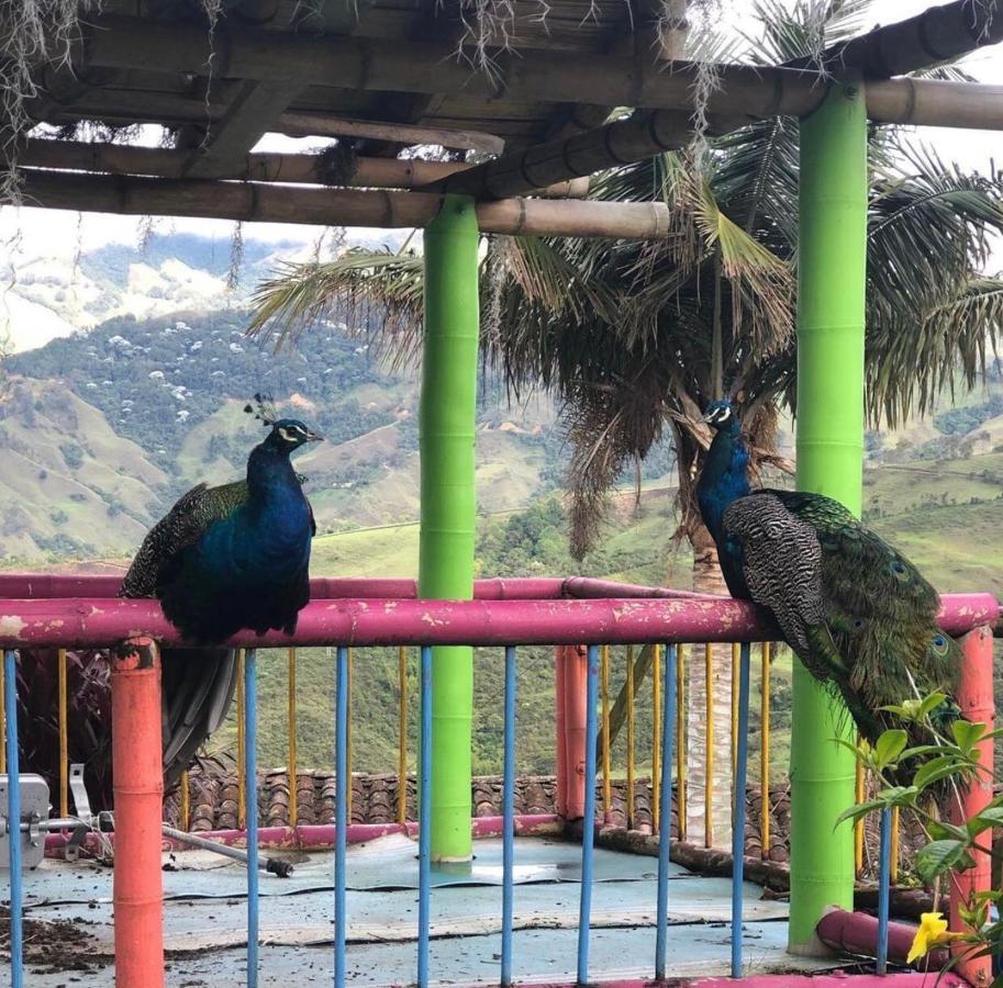 Castillo De Cascadas Finca Hotel Salamina エクステリア 写真